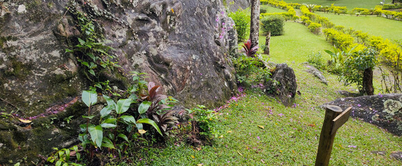cloudy cloud rain water stone rock vegetable flower leaf plant grass texture puddle path trail ladder walk garden sconce bush bush forest tree valley mountain hill forest nature ivy trash can landscap