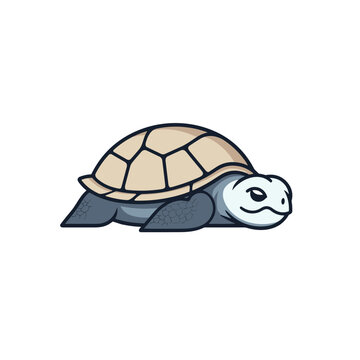 sleeping turtle tortoise  vector illustration isolated transparent background logo, cut out or cutout t-shirt print design 