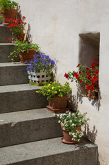 Fototapeta na wymiar Plant pots on a residential property steps in Gruyères, Switzerland