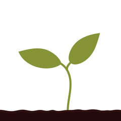 Plant growing from soil. Vector illustration.