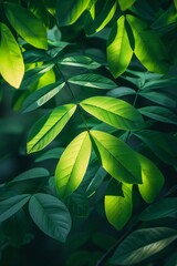 Soft sunlight filters through translucent green leaves, detailed vein patterns