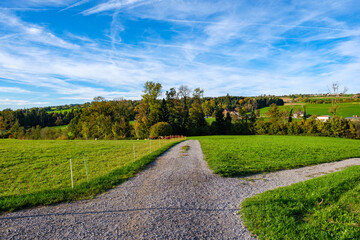 Fototapeta na wymiar Crossing paths in nature - Sempach, Switzerland