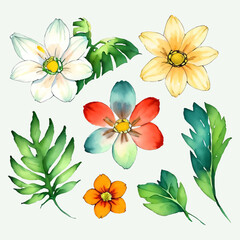 Fototapeta na wymiar Flower vector watercolor flowers floral vector