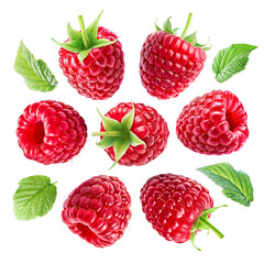 Seven ripe raspberries arranged in a circle with leaves, isolated on a white background