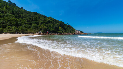 costa da  praia Caravelas  praia Grande cidade de Governador Celso Ramos Santa Catarina Brasil