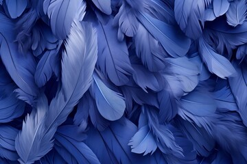 Closeup, Dark Blue Feathers, Background Wallpaper, Beautiful Nature Pictures