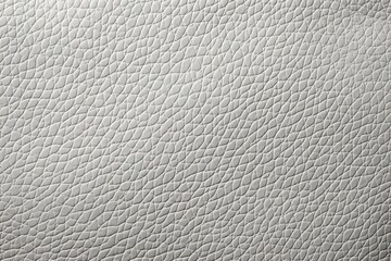 Close-Up White Leather Texture,  Dark and Silver Color Background Detail