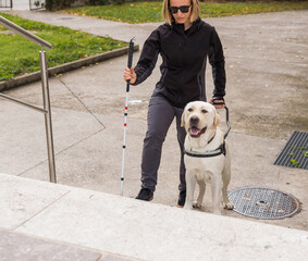 Guide dog helping his owner, a blind or visually impaired woman, to go up the staircase. Low vision...