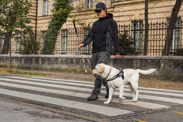 Blind pedestrian carrying a white cane and walking with a guide dog, crossing a street. Concepts of...