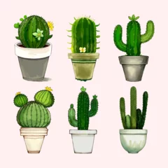 Poster Cactus en pot Cactus vector watercolor Cactus pots floral vector