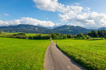Fototapeta na wymiar Green landscape in Allgovia, Germany