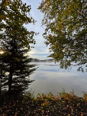 Autumn landscape with fog on the lake and trees in the foreground. Algonquin Park, Canada. 