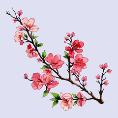 Naklejka premium Cherry blossoms vector watercolor Cherry blossoms branch vector