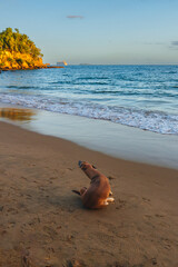 Playa cayacoa, Saman&aacute;, Rep&uacute;blica Dominicana 