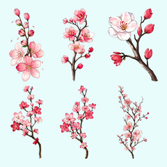 Cherry blossoms vector watercolor Cherry blossoms branch vector, sakura flower vector