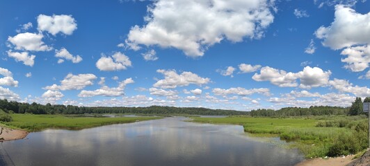 Lake under the clouds. On a sunny summer day, small cumulus clouds hang in the blue sky. Below them is a small pond overgrown with tall green reeds. A forest is visible in the distance.