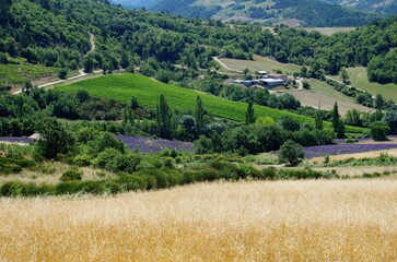 Rural landscape in the Baronnies in the South East of France, in Europe