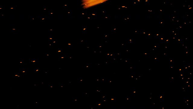 Campfire burning ashes transparent background 