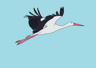 Hand-drawn flying stork in flat design and digitized on blue background
