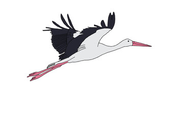 Hand-drawn flying stork in flat design on transparent background