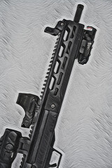 Civilian Assault Rifles - Illustrated Image