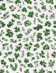 Repeating seamless floral pattern of various green and purple flowers and plants