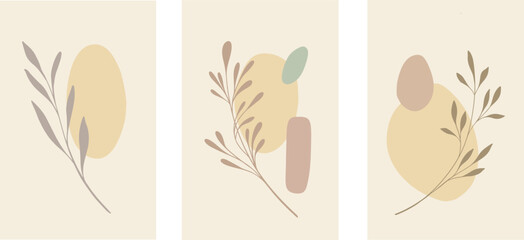 Abstract shapes background leaves branch botany vector illustration beige warm colors spring female organic