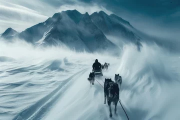 Papier Peint photo Lavable Gris foncé Frozen journey, person with sled of dogs traverses snowy antarctica, an epic adventure through icy landscapes with loyal canine companions, exploring the remote and pristine wildernes