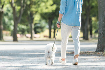 犬の散歩をする愛犬家の中高年男性の後ろ姿・運動・ドッグセラピー
