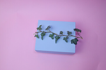 Blue gift box on pink background 