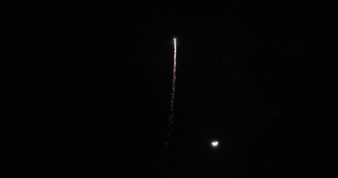 夜空を彩る日本の打ち上げ花火。