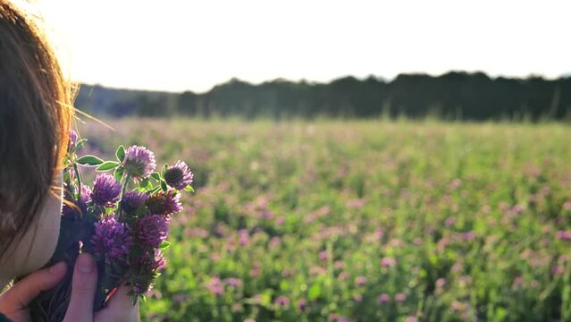 Red clover in a womans hand.woman smells red clover. Womans face and red clover flowers in the rays of the sun in a clover field. Womens health flower. Useful herbs and flowers. 4k footage