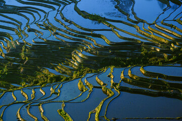 Yuanyang Terraced Fields in Yunnan Province, China