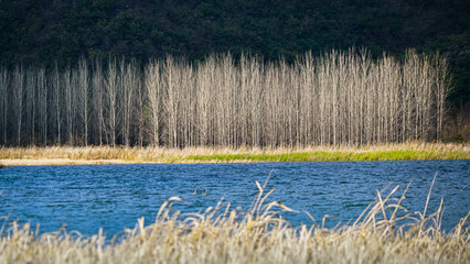 Scenery of rural areas in southern China (Puzhehei)