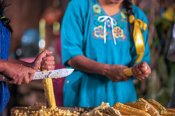 With a knife, a woman's hands separate the corn kernels from the cob, to then make sweet tamales.