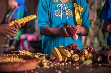 The yellow corn corn is peeled and then its kernels are extracted to make a traditional drink from...
