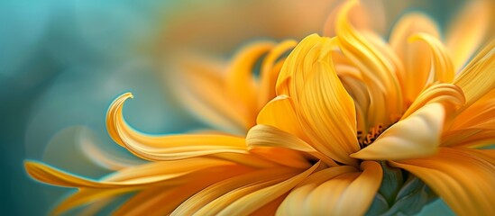 A closeup of a yellow flower from the Daisy family with orange petals, set against a vibrant blue background. The macro photography captures the intricate details of this annual plant