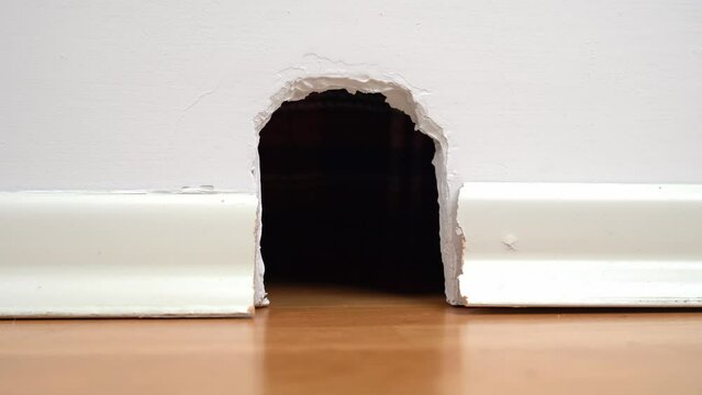 A hole in white wall, drywall, cut hole, gnawed mouse shelter, entrance to the housing of rodent, rat Close-up Damage to the baseboard, cable hole, repair, dismantling The pest chewed a hole in house