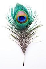 Fototapeta premium Beautiful peacock feather isolated on white background