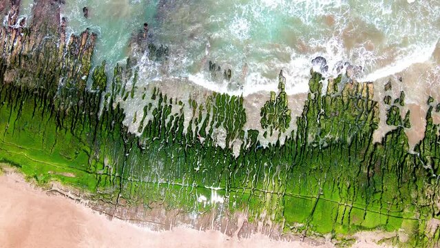 Laomei Green Reef, volcanic rocks with seasonal algae in Shimen District, New Taipei City, Taiwan