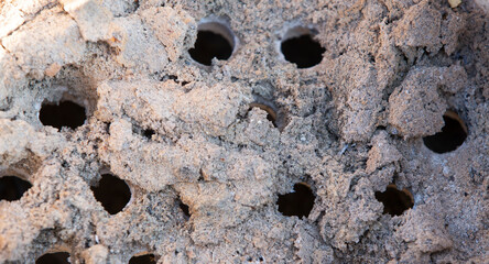 close-up of small holes in a clay pot in the desert