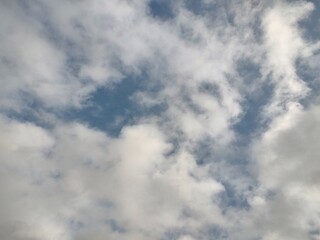 東京のそら(24.2.20)