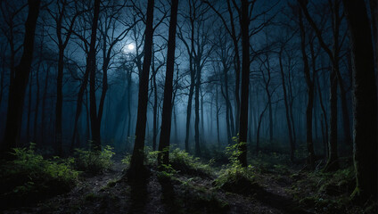 Mysterious charm of a woodland at night with moonlight filtering through the branches and casting...
