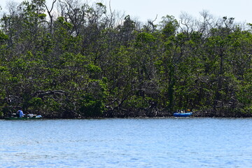 Waterways cleanup debris hurricane ian fort myers beach florida