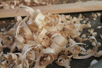 wood shavings on the ground