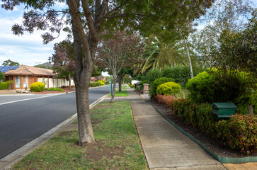 A suburban tree-lined Street with beautiful front yard Gardens in a Quiet Residential Area. Tranquil Australian Neighbourhood. Concept of real estate, housing market in Melbourne VIC Australia.
