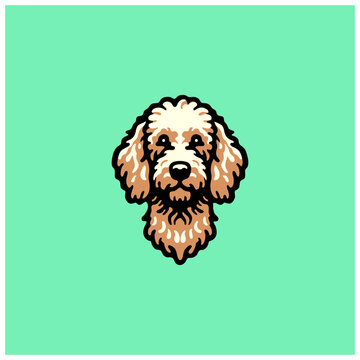 goldendoodle vector simple illustration