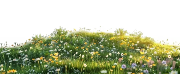 Stof per meter Small hill covered with wild flowers isolated on a transparent background. PNG element for landscape design background. © Kosal