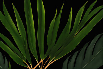 Dark tropical plant leaves close-up