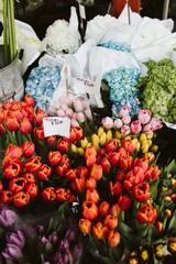 tulips in the market